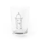 コッコ星のふりふりブルテリア Water Glass :front