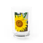 279_ktmのひまわり🌻 Water Glass :front