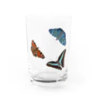 KUREOのくじゃくちょうたち Water Glass :front