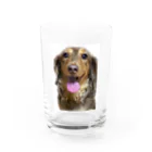 良々の美犬モカちゃん(犬、Mダックス) Water Glass :front