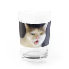 白猫オッドアイショップの白猫オッドアイ Water Glass :front