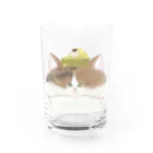 どるちぇ＊うさぎの《５》＊ふわあま*どるちぇみけ＊ Water Glass :front