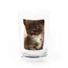 SUNNYHOUSE02のゴマくん Water Glass :front