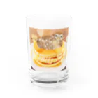 Little Owl Hamyのパンケーキハミィ Water Glass :front