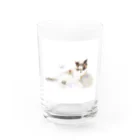 z_happinessのくつろぐ猫 Water Glass :front