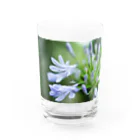 PhotoAtelier AileのAngel of Agapanthus 170702 Water Glass :front