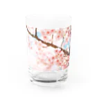 ありさのキラメクセカイ-桜その2- Water Glass :front