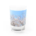 basthyのさくら Water Glass :front
