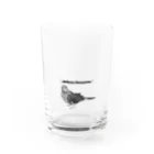 M.storeのアキクサインコグラス Water Glass :front