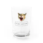 Y.Koyamaの物言う猫 Water Glass :front