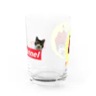 RIKICHANNEL OFFICIAL SHOPの赤鬼×ボックスロゴ Water Glass :front