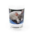 大福のだいちゃん Water Glass :front