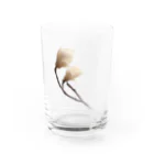 suparnaのマグノリア Water Glass :front