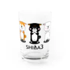 しっぽ堂のSHIBA3飛行機耳の柴犬 Water Glass :front