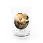 Y.Koyamaの解脱猫 Water Glass :front