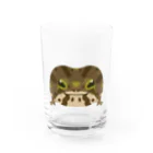 ゲコゲコンのアメフクラガエルくん Water Glass :front