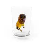 chatty_hahahaのチャのあはは Water Glass :front