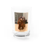 SNKRSの解せぬREVE Water Glass :front