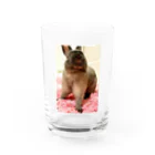 mimichanのみみちゃん Water Glass :front