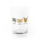 すとろべりーガムFactoryの野生のにゃん3匹 Water Glass :front