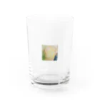 虹色の華の富士山と祈り Water Glass :front