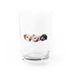 アザラシ酒のころちょこぽんた Water Glass :front