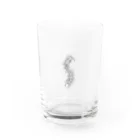 シャバの5歳の知能指数 Water Glass :front