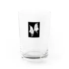 奥田久重のアマゾンカワイルカ Water Glass :front