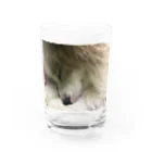 Rinaのてんてん Water Glass :front