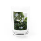 Yama10の白。花。花火。ほわほわ。 Water Glass :front