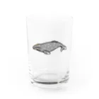 クジラの雑貨屋さん。のコククジラ・グラス Water Glass :front