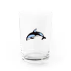 クジラの雑貨屋さん。のカマイルカ・グラス Water Glass :front