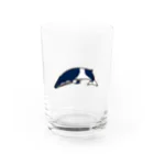 クジラの雑貨屋さん。のミンククジラ・グラス Water Glass :front