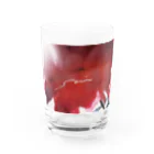 kokonotsuのflowering you Water Glass :front