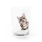 ねこだからのハチのおねがい Water Glass :front