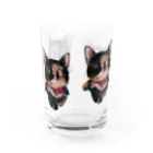 Kilkenny Catsのサビ猫 多め Water Glass :front