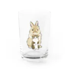 mofusandのちっこいねこ Water Glass :front