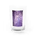 8l0の長藤　花　藤の花 Water Glass :front