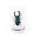 松井 翼 /  Tsubasa Matsuiの夏とクワガタ Water Glass :front