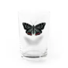 Kanshadoのアカボシゴマダラ Water Glass :front