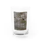 地球の楽しみ方のセミのいる夏 Water Glass :front