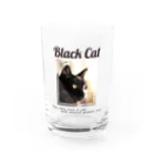 ひよっこデザインの凛々しい黒猫 Water Glass :front