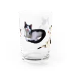 猫太郎の４匹の猫太郎 グラス前面