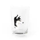 朔のボウルのかっこいいハスキー横顔 Water Glass :front