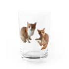 Norinyaのムムさん&メメちゃん兄妹（胸元） Water Glass :front