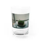 ayasa31の豆苗 Water Glass :front