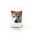 とりいの犬がみている Water Glass :front