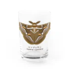 さちこの生物雑貨のシンジュサン Water Glass :front