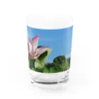 豆たの午前7時の蓮 Water Glass :front