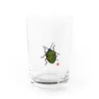 ミユキータ商會のアカスジキンカメムシの大人 Water Glass :front